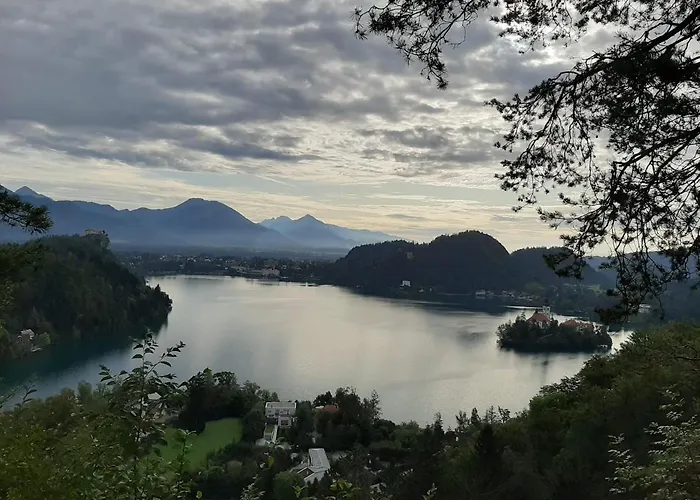 Barbi Appartement Bled